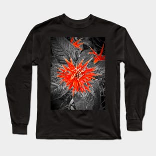 Monarda Bee Balm Flower Long Sleeve T-Shirt